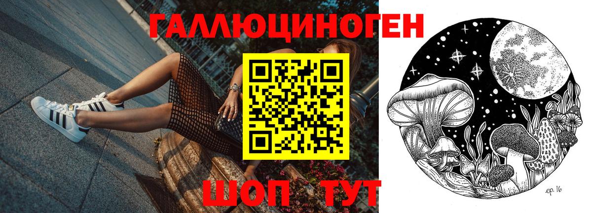 где купить наркотик  Галлюциногенные грибы прущие грибы  Вход с VPN  Шарыпово 
