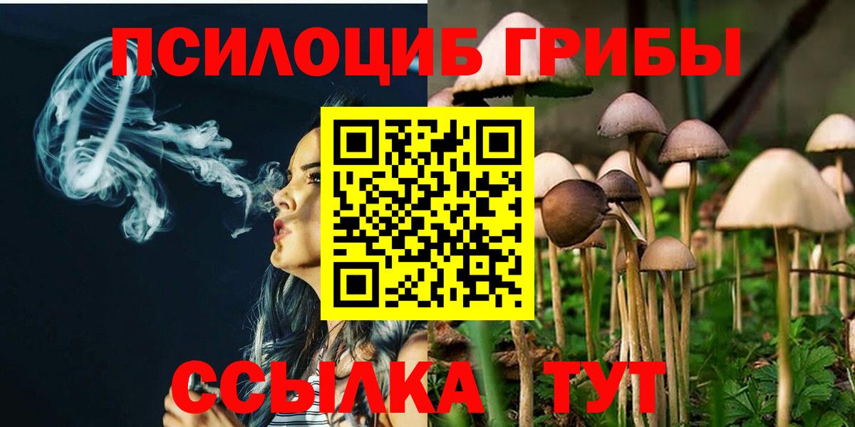 Галлюциногенные грибы Psilocybine cubensis Шарыпово